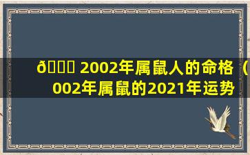 🐈 2002年属鼠人的命格（2002年属鼠的2021年运势 🦍 怎么样）